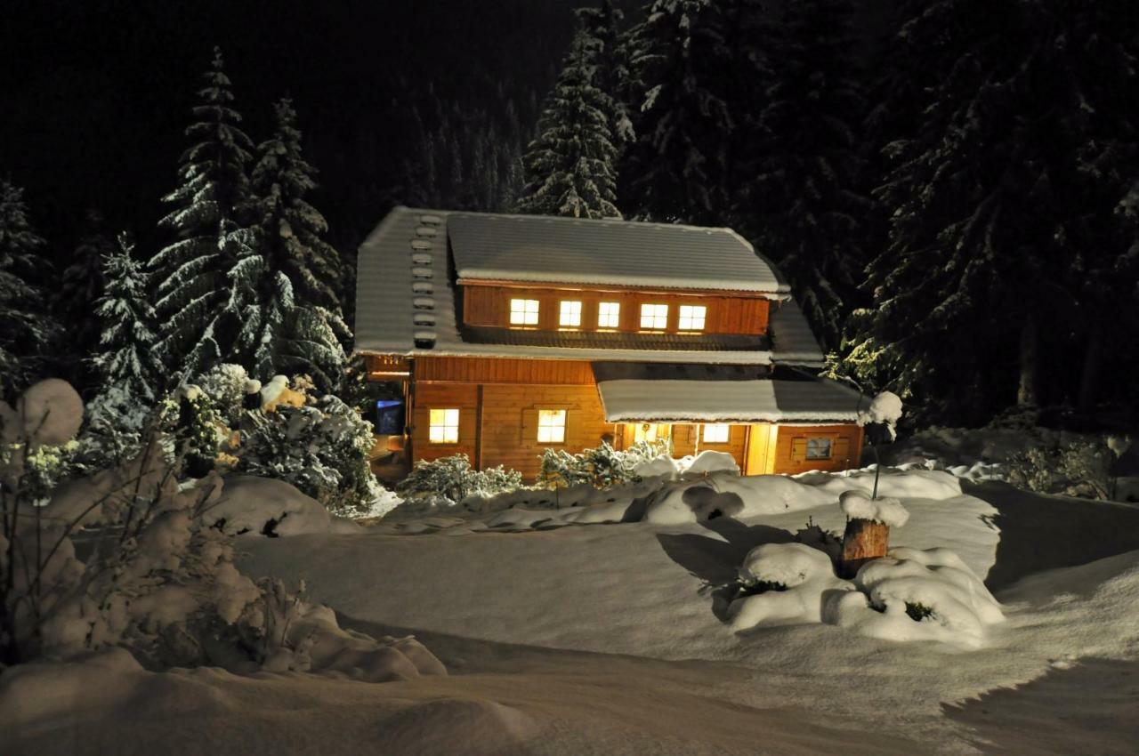 Chalet Styria Donnersbachwald Exterior photo